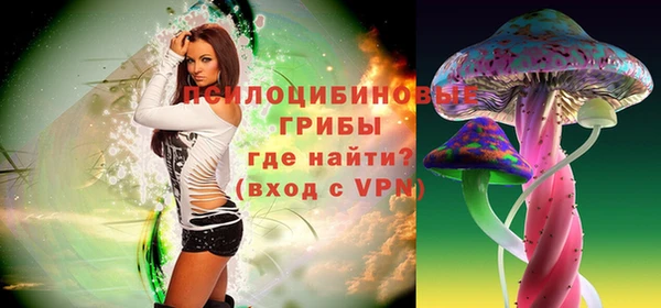 spice Балахна