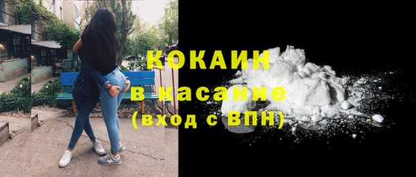 ешки Арсеньев