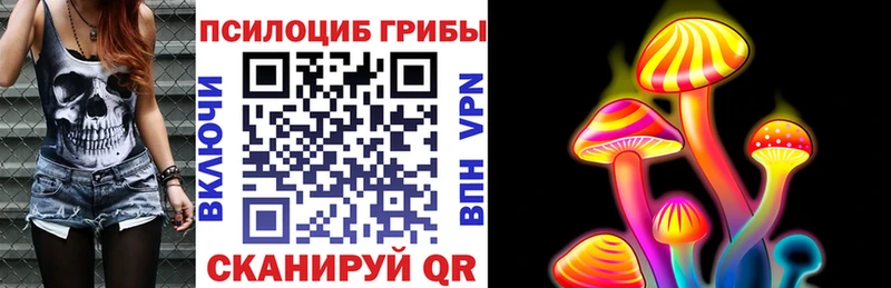 купить   Сибай  Галлюциногенные грибы мухоморы 
