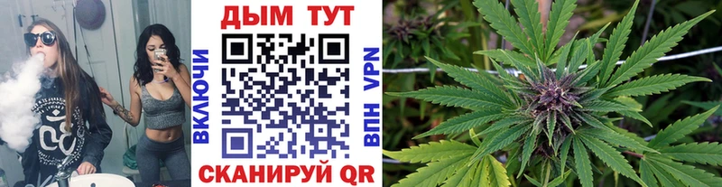Канабис сатива Сибай